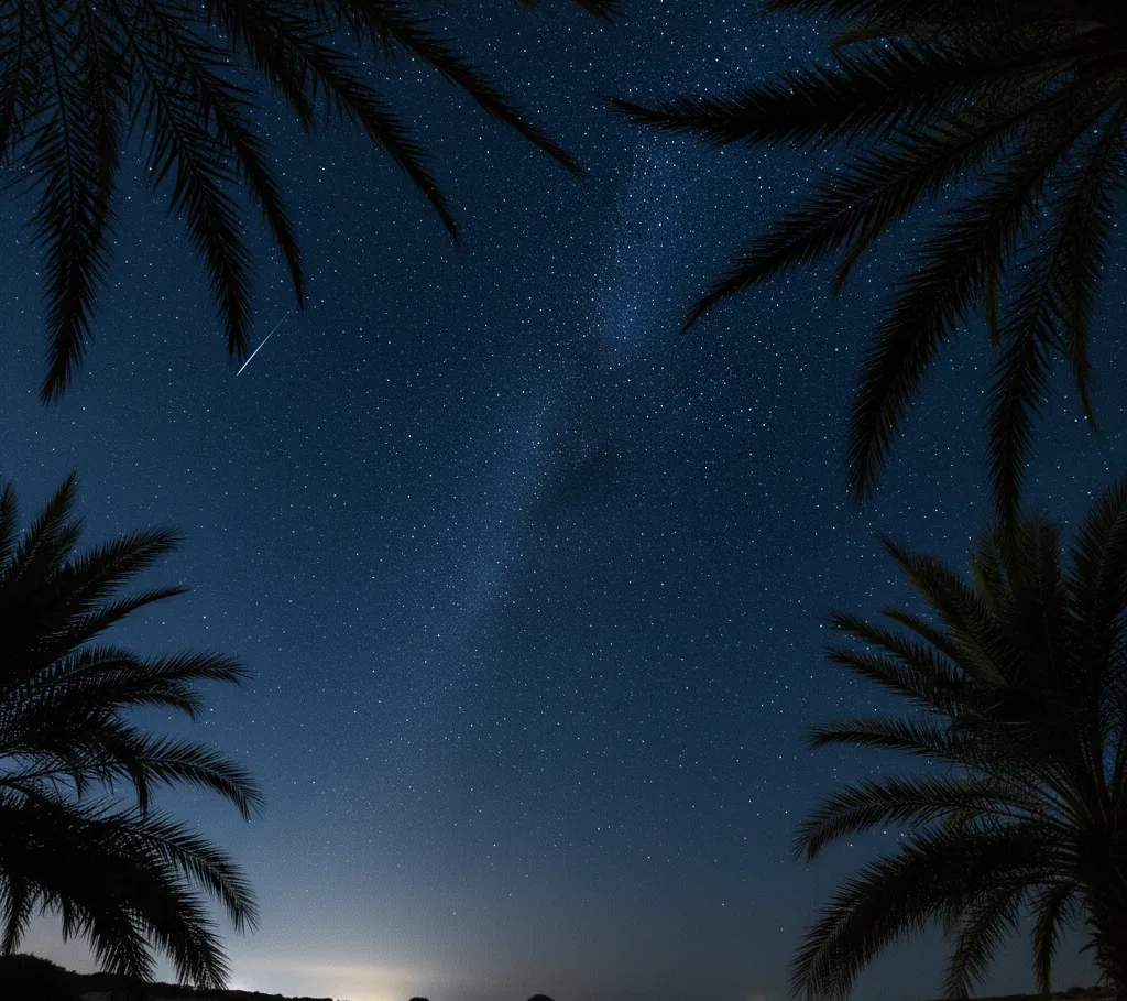 Star-filled Night Sky